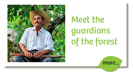 guardians-of-the-forest-sierra-gorda